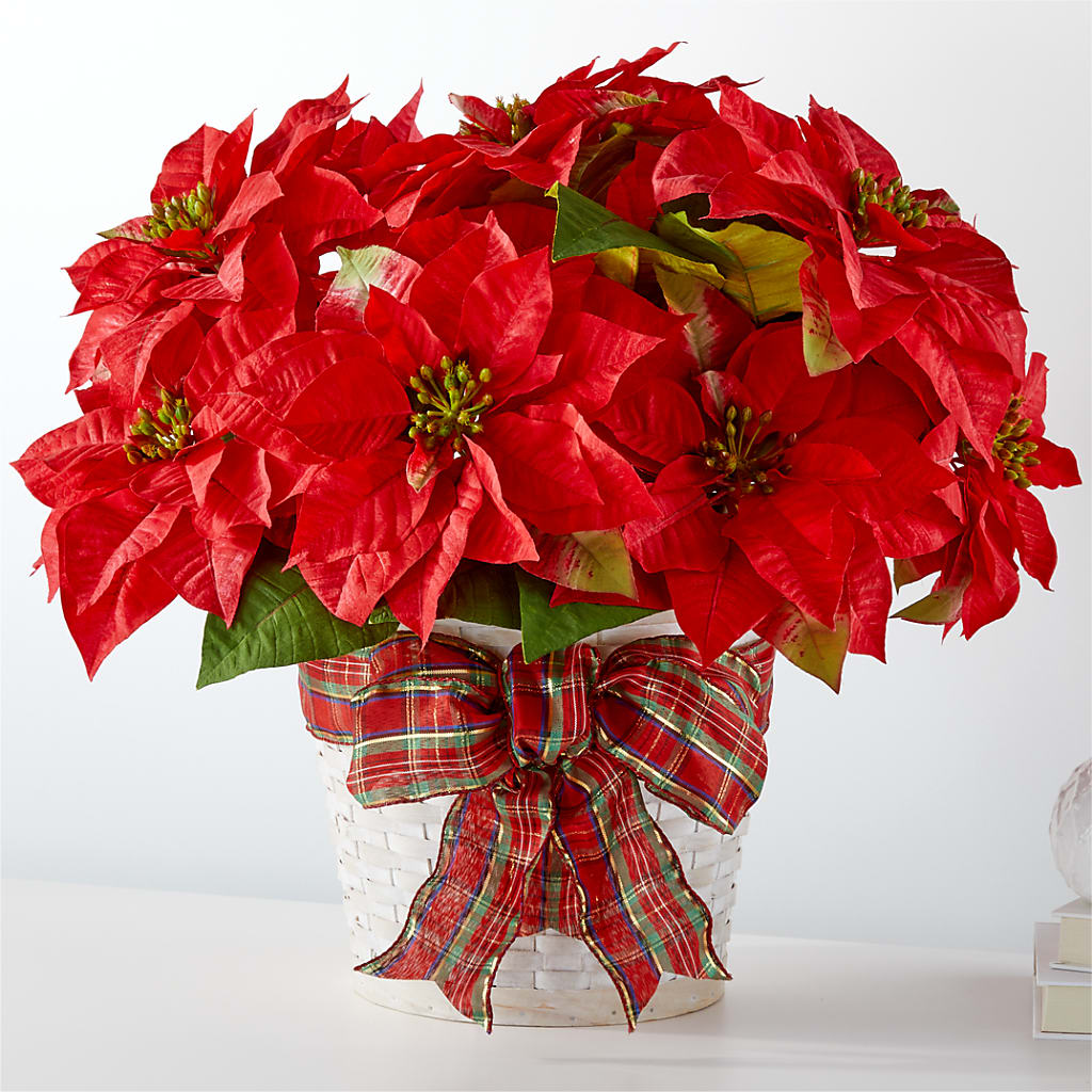 Happiest Holidays Poinsettia – Oaxaca Florist, Gaithersburg MD