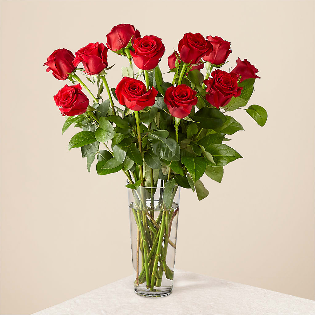 Long Stem Red Rose Bouquet – Oaxaca Florist, Gaithersburg MD