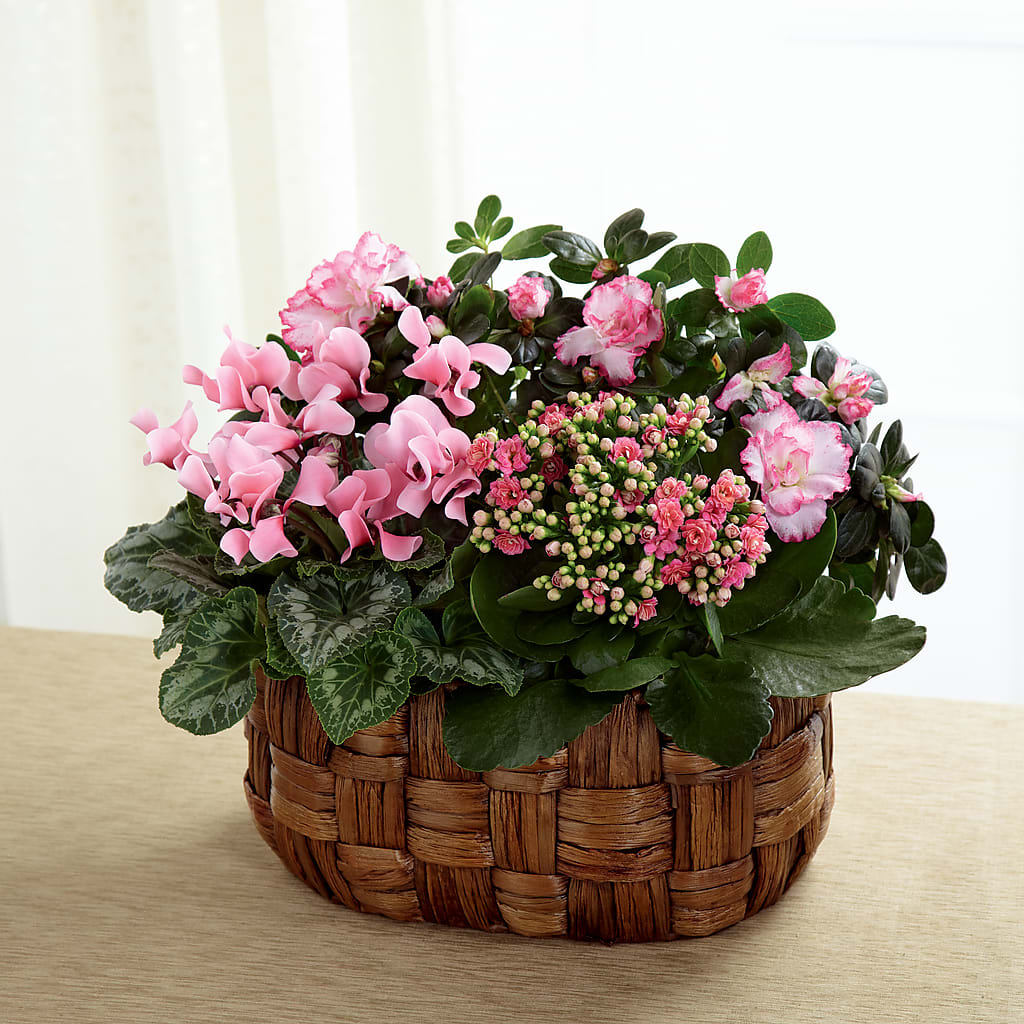 Pink Assortment – Oaxaca Florist, Gaithersburg MD