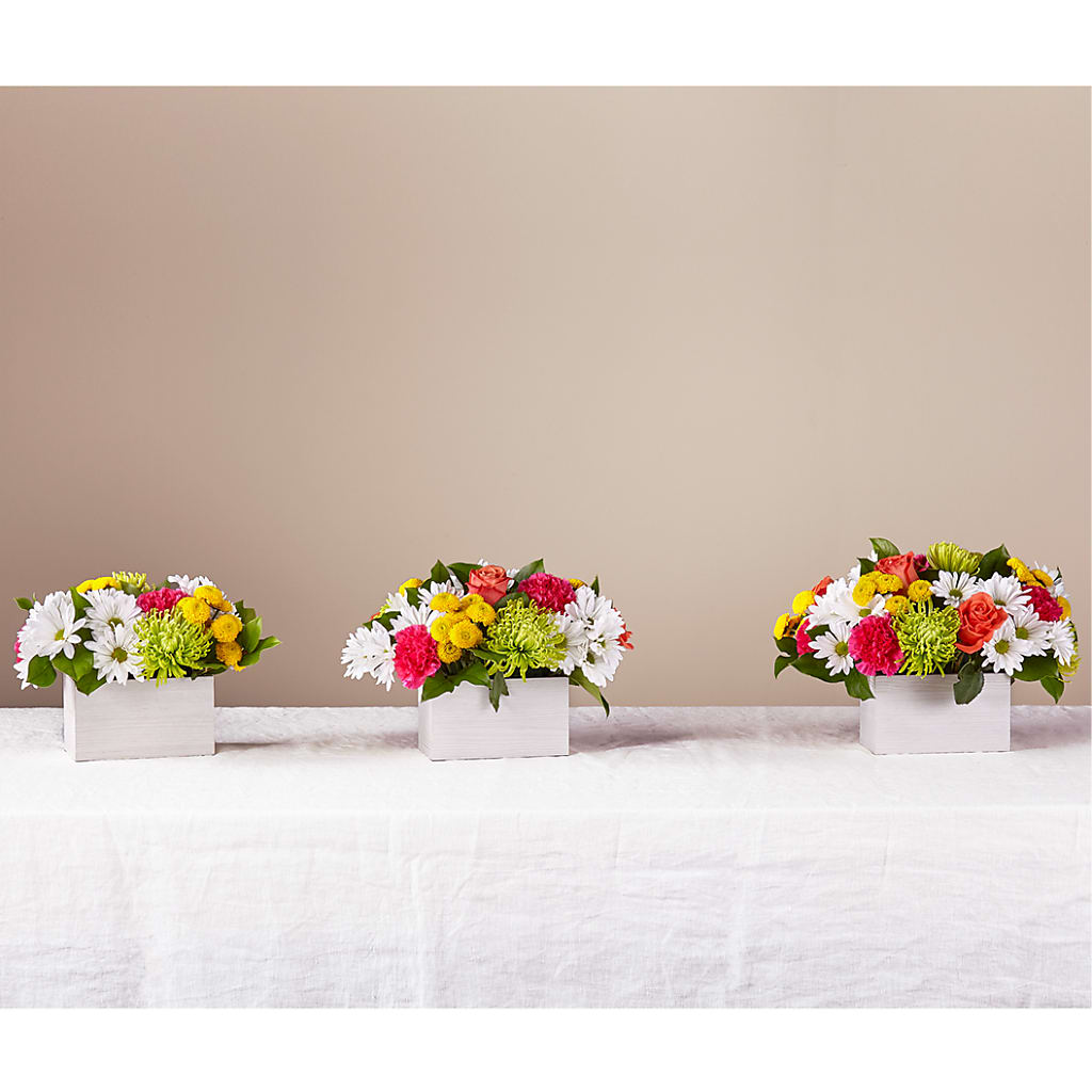 Sorbet Bouquet – Oaxaca Florist, Gaithersburg MD