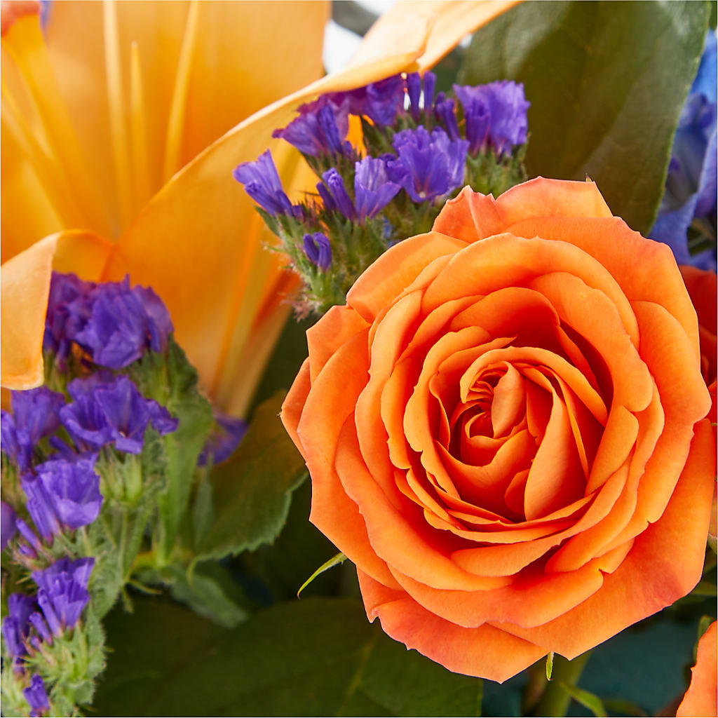 Radiant Citrus Box Bouquet – Oaxaca Florist, Gaithersburg MD