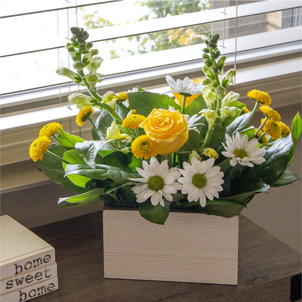 Sun Salutation Box Bouquet – Oaxaca Florist, Gaithersburg MD