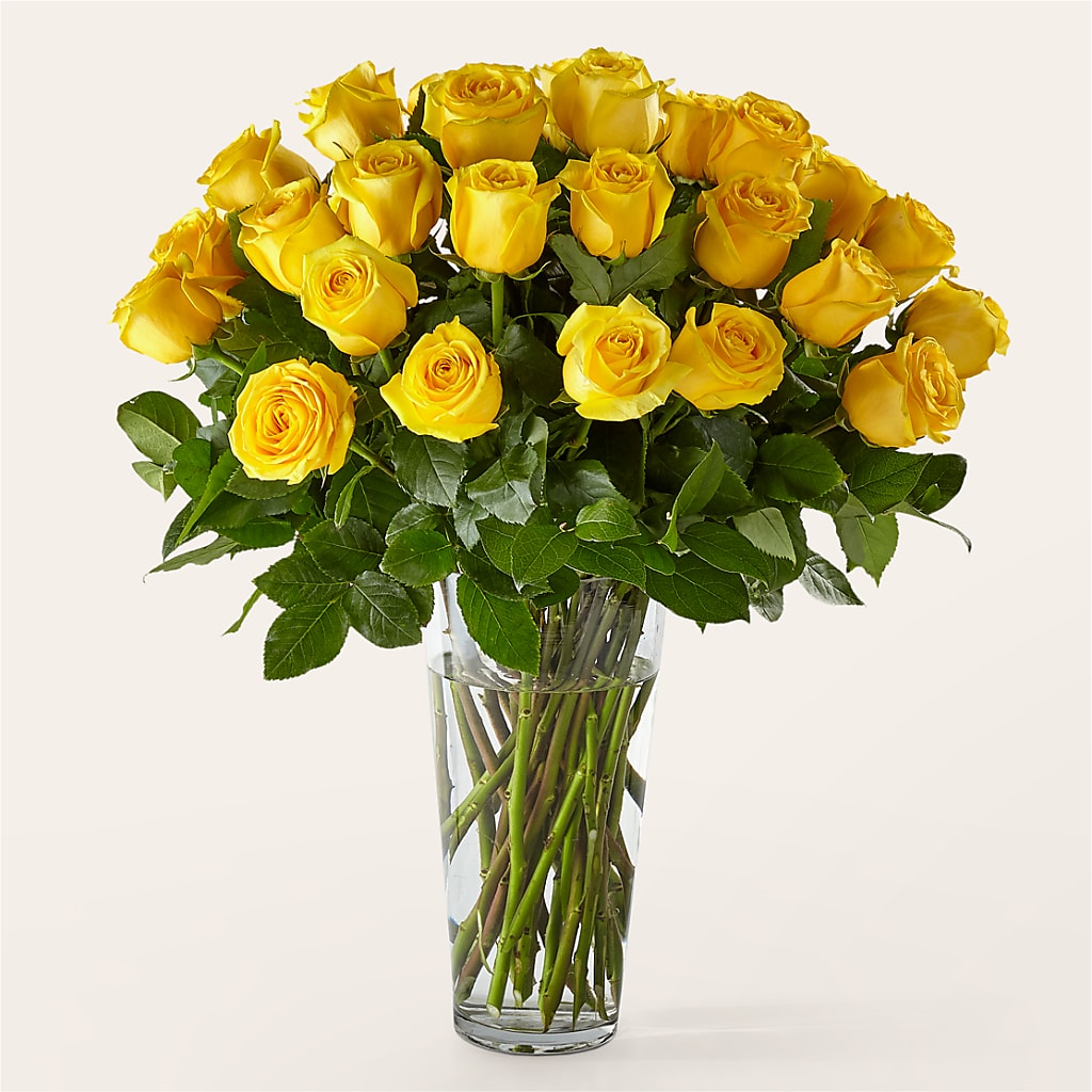 Long Stem Yellow Rose Bouquet – Oaxaca Florist, Gaithersburg MD