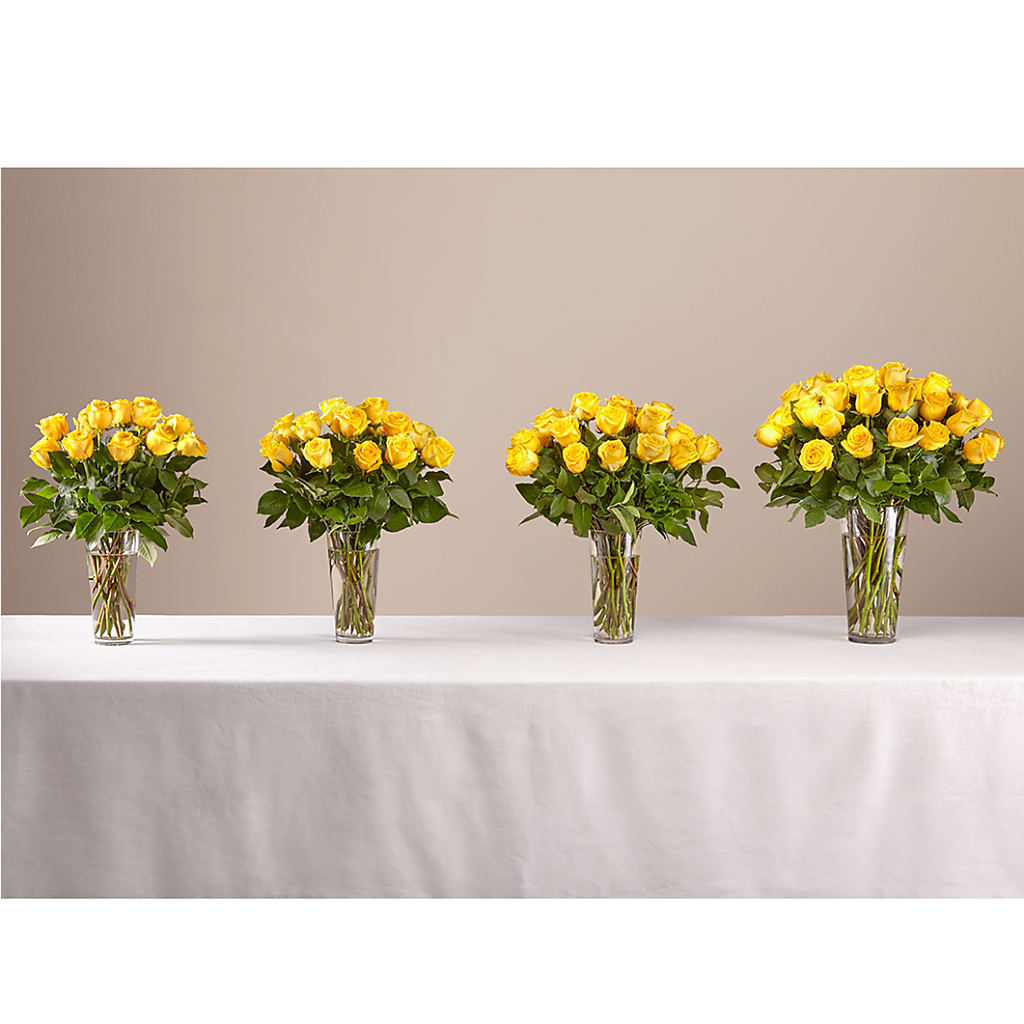 Long Stem Yellow Rose Bouquet – Oaxaca Florist, Gaithersburg MD