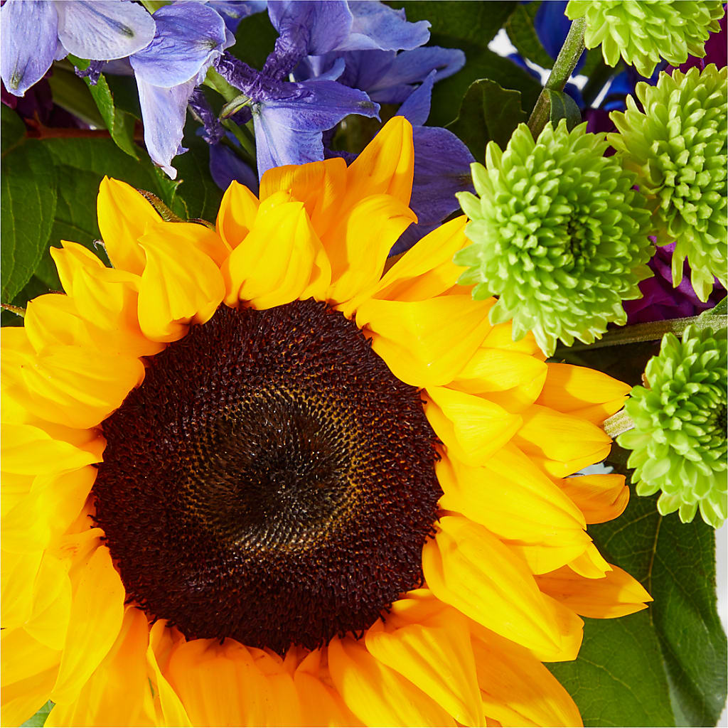 Catching Rays Bouquet – Oaxaca Florist, Gaithersburg MD