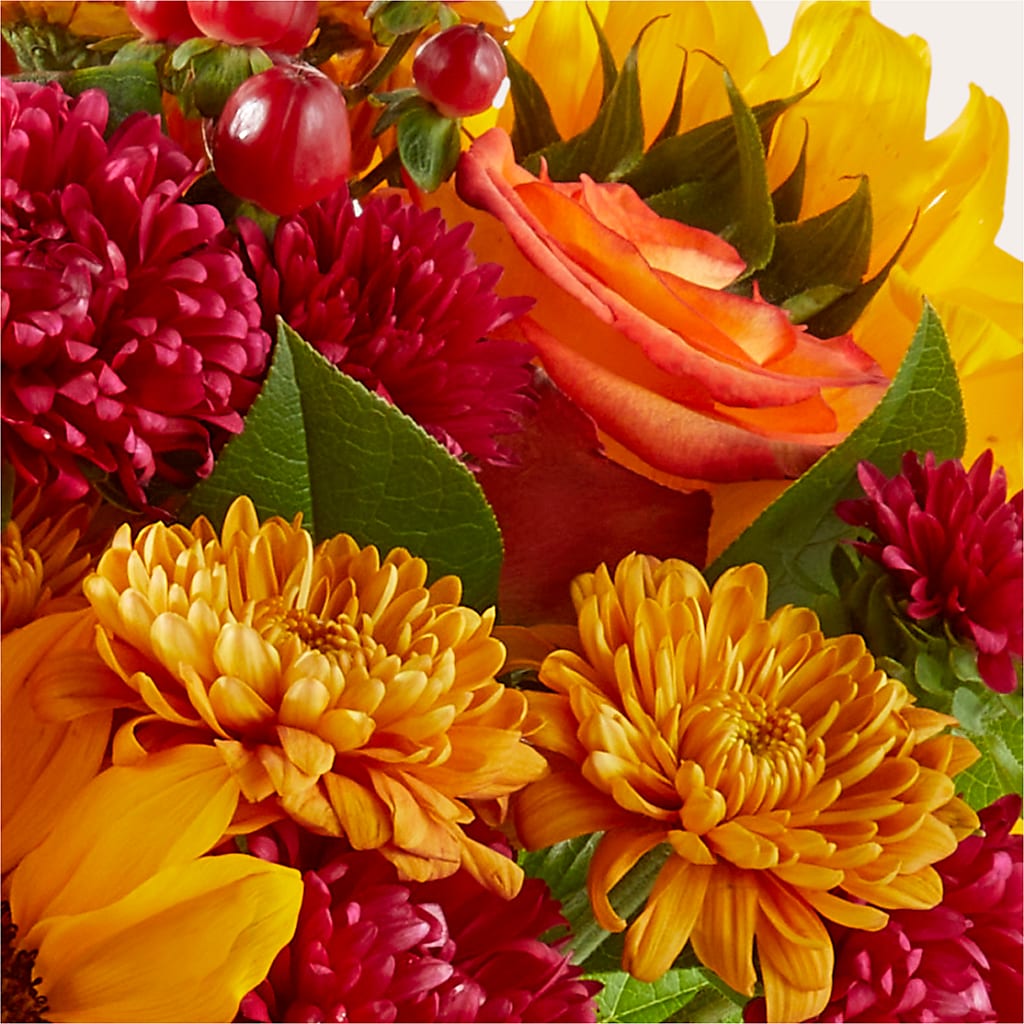 Sweater Season - A Florist Original – Oaxaca Florist, Gaithersburg MD