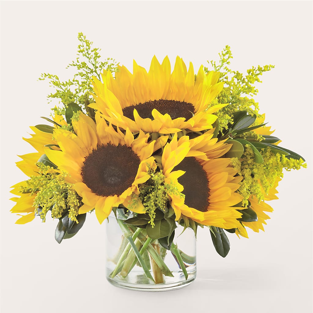 Beaming Sunflower Bouquet – Oaxaca Florist, Gaithersburg MD