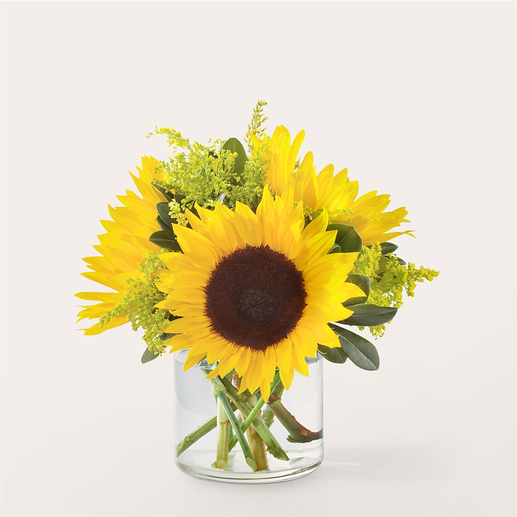 Beaming Sunflower Bouquet – Oaxaca Florist, Gaithersburg MD