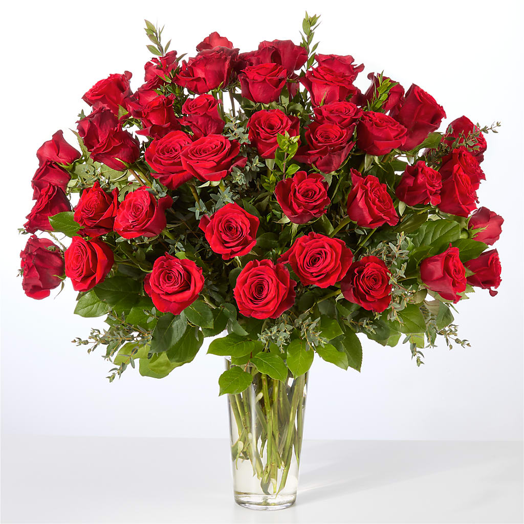 Forever Yours Fifty Stem Red Rose Bouquet – Oaxaca Florist, Gaithersburg MD