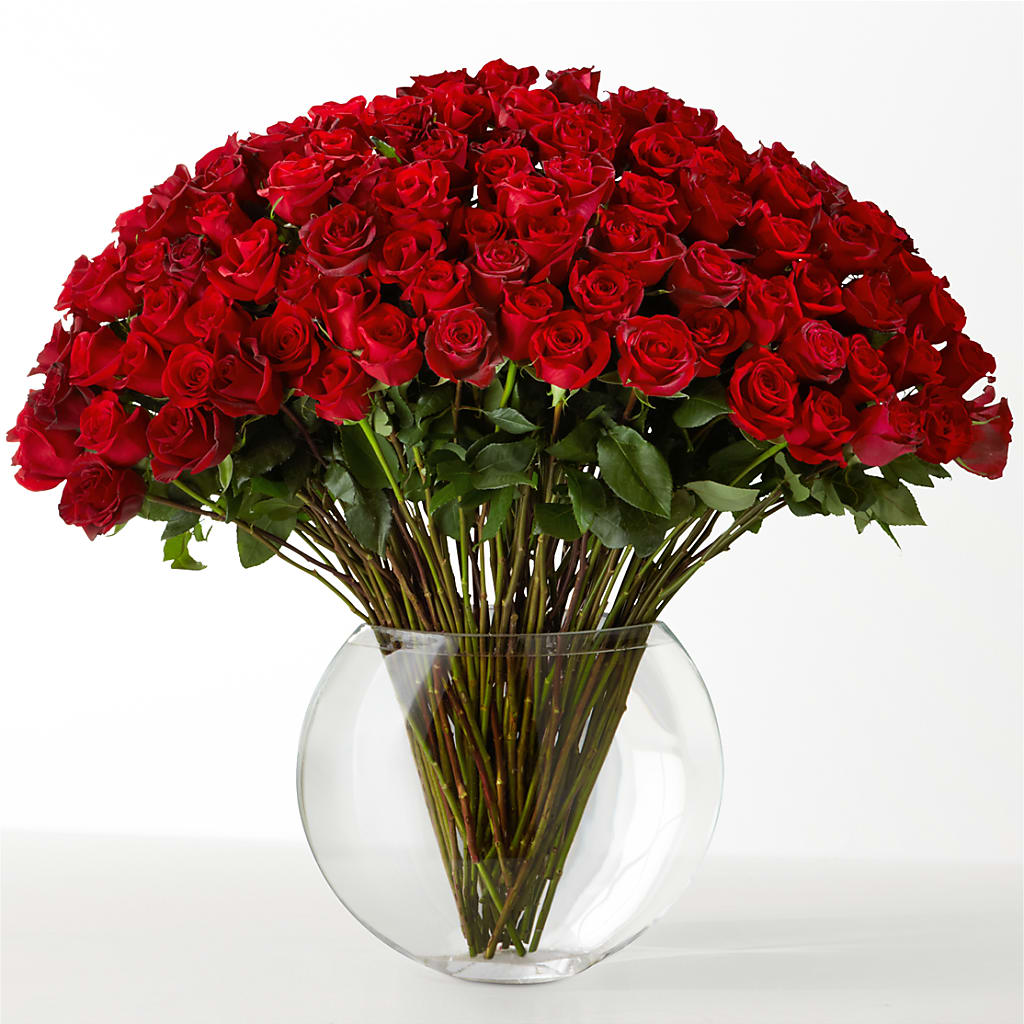 The Idealist – Oaxaca Florist, Gaithersburg MD