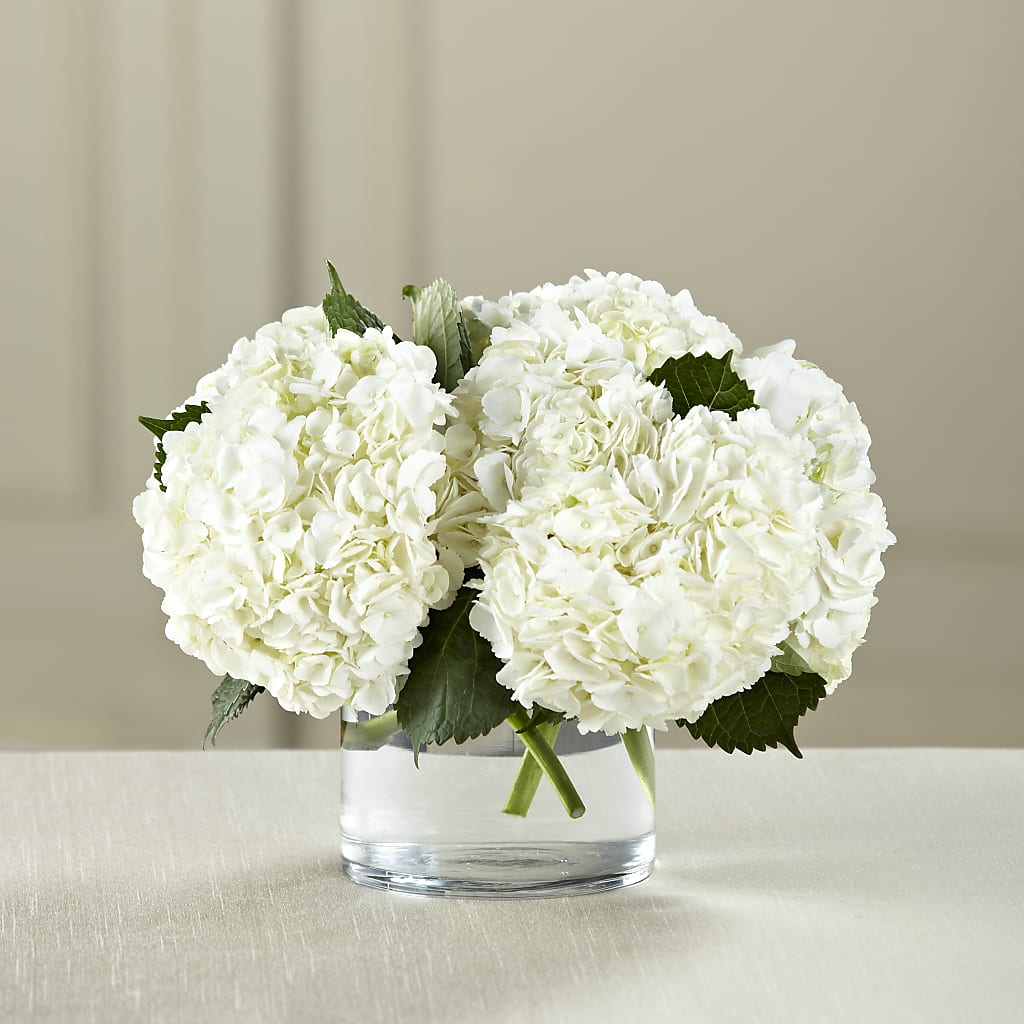 White Hydrangea Bouquet – Oaxaca Florist, Gaithersburg MD