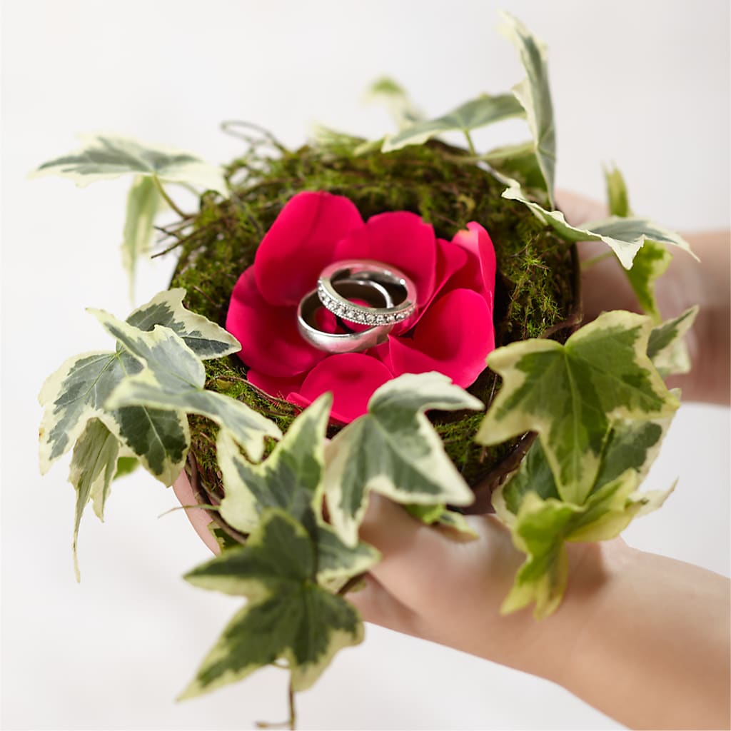 Lila Rose Ring Nest – Oaxaca Florist, Gaithersburg MD