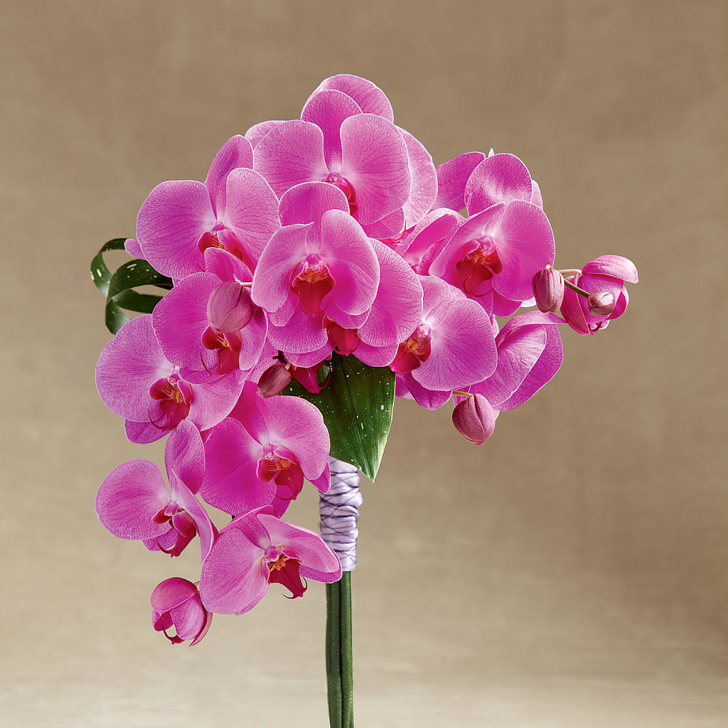 Glorious Bouquet – Oaxaca Florist, Gaithersburg MD