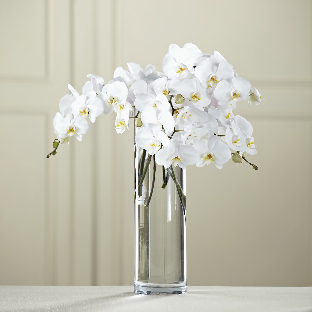 White Phalaenopsis Bouquet – Oaxaca Florist, Gaithersburg MD
