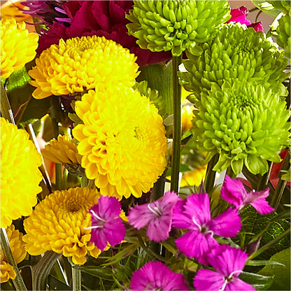 Bold & Bright – A Florist Original –  Oaxaca Florist, Gaithersburg MD