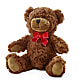 Adorable Plush Bear –  Oaxaca Florist, Gaithersburg MD