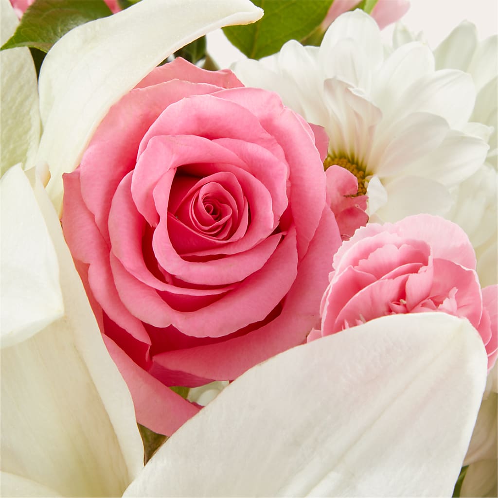 Whispers of Comfort Bouquet –  Oaxaca Florist, Gaithersburg MD