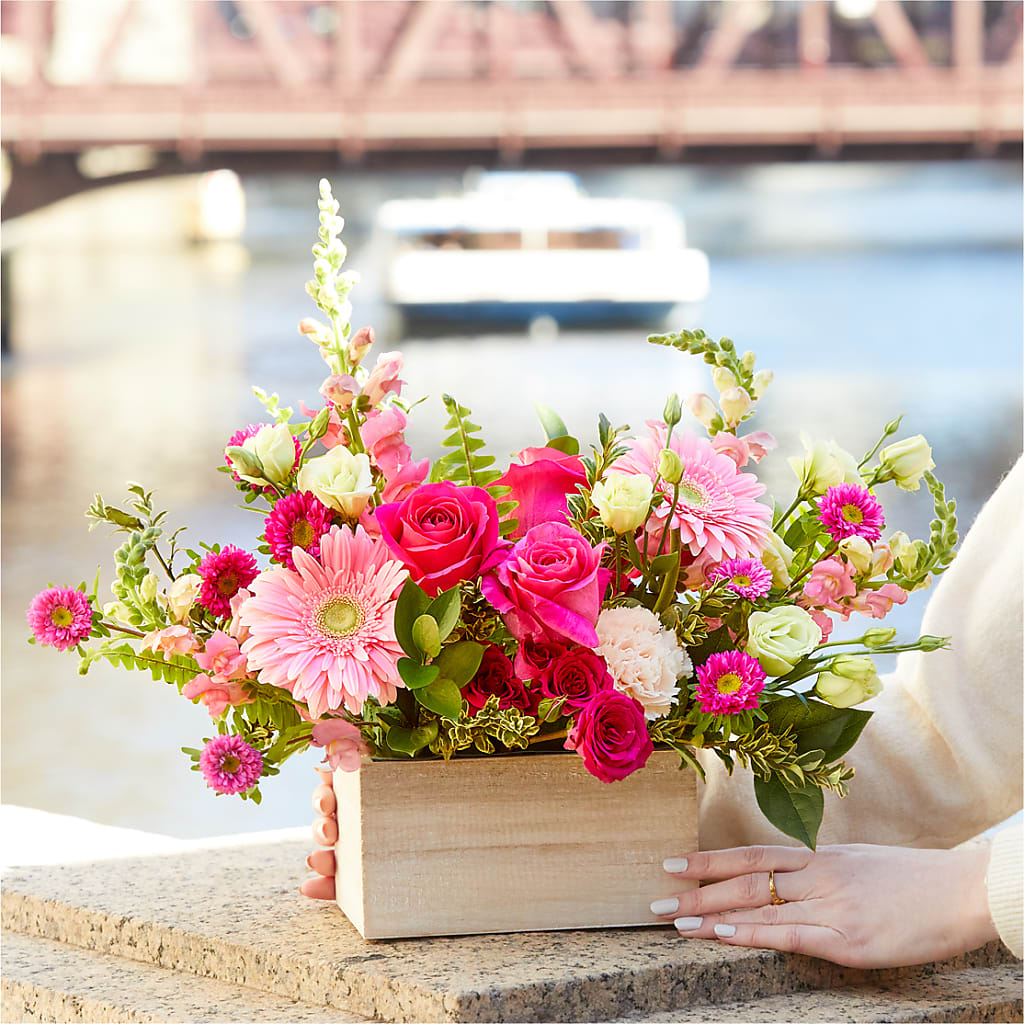 Too Cute Bouquet –  Oaxaca Florist, Gaithersburg MD