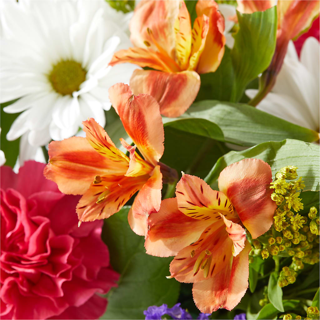 Oopsie Daisy Box Bouquet –  Oaxaca Florist, Gaithersburg MD