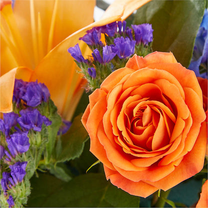 Radiant Citrus Box Bouquet –  Oaxaca Florist, Gaithersburg MD