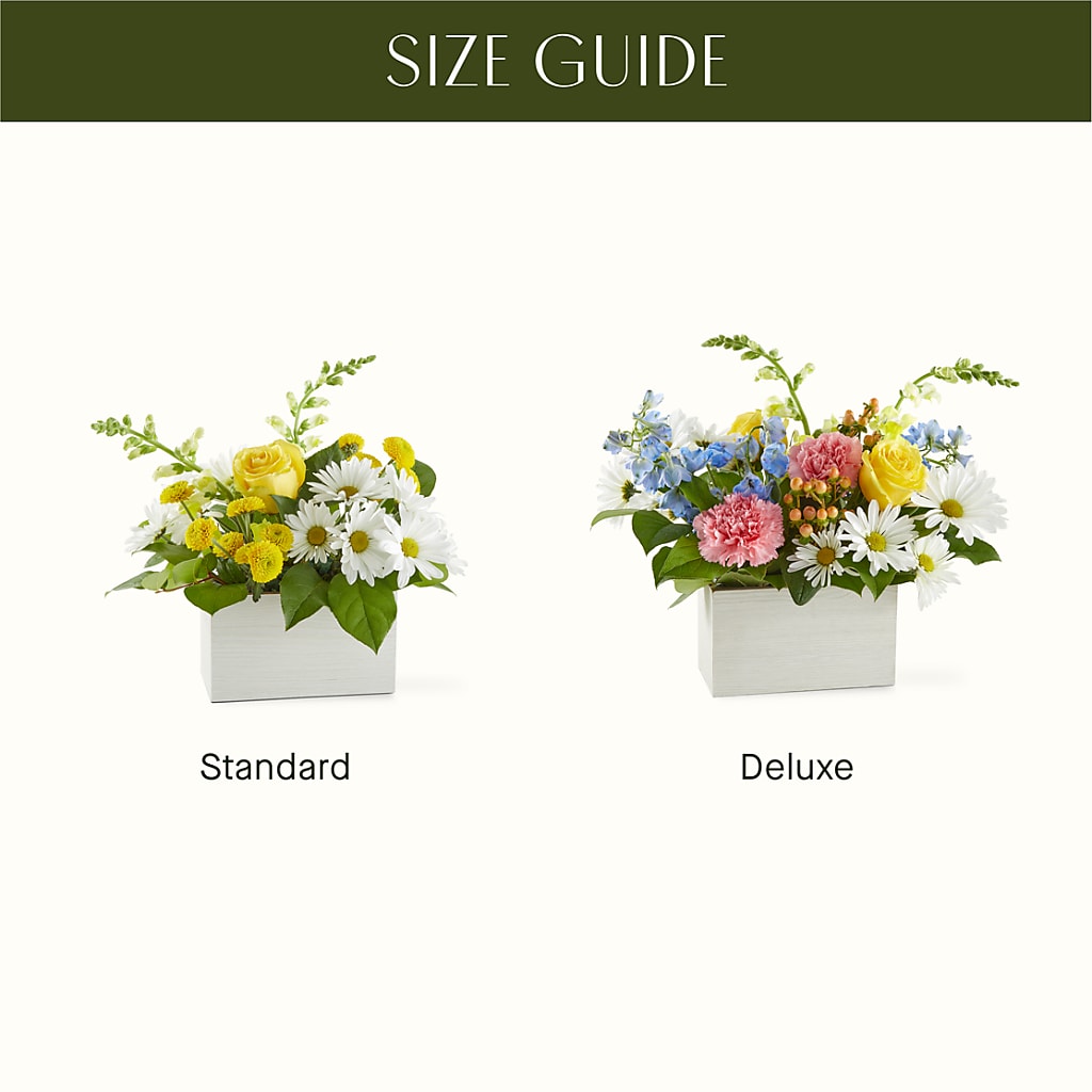 Sun Salutation Box Bouquet –  Oaxaca Florist, Gaithersburg MD