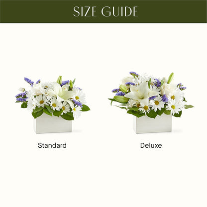Beyond Blue Box Bouquet –  Oaxaca Florist, Gaithersburg MD