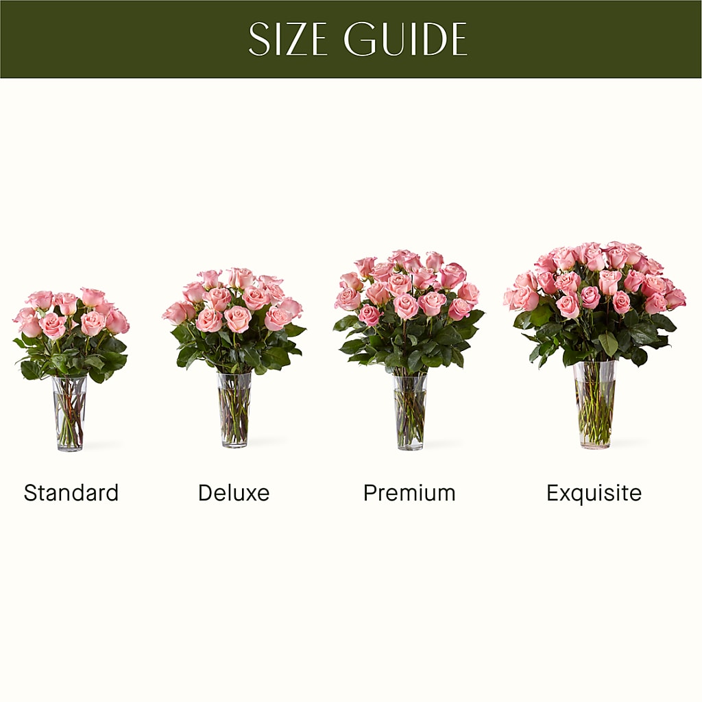 Long Stem Pink Rose Bouquet –  Oaxaca Florist, Gaithersburg MD
