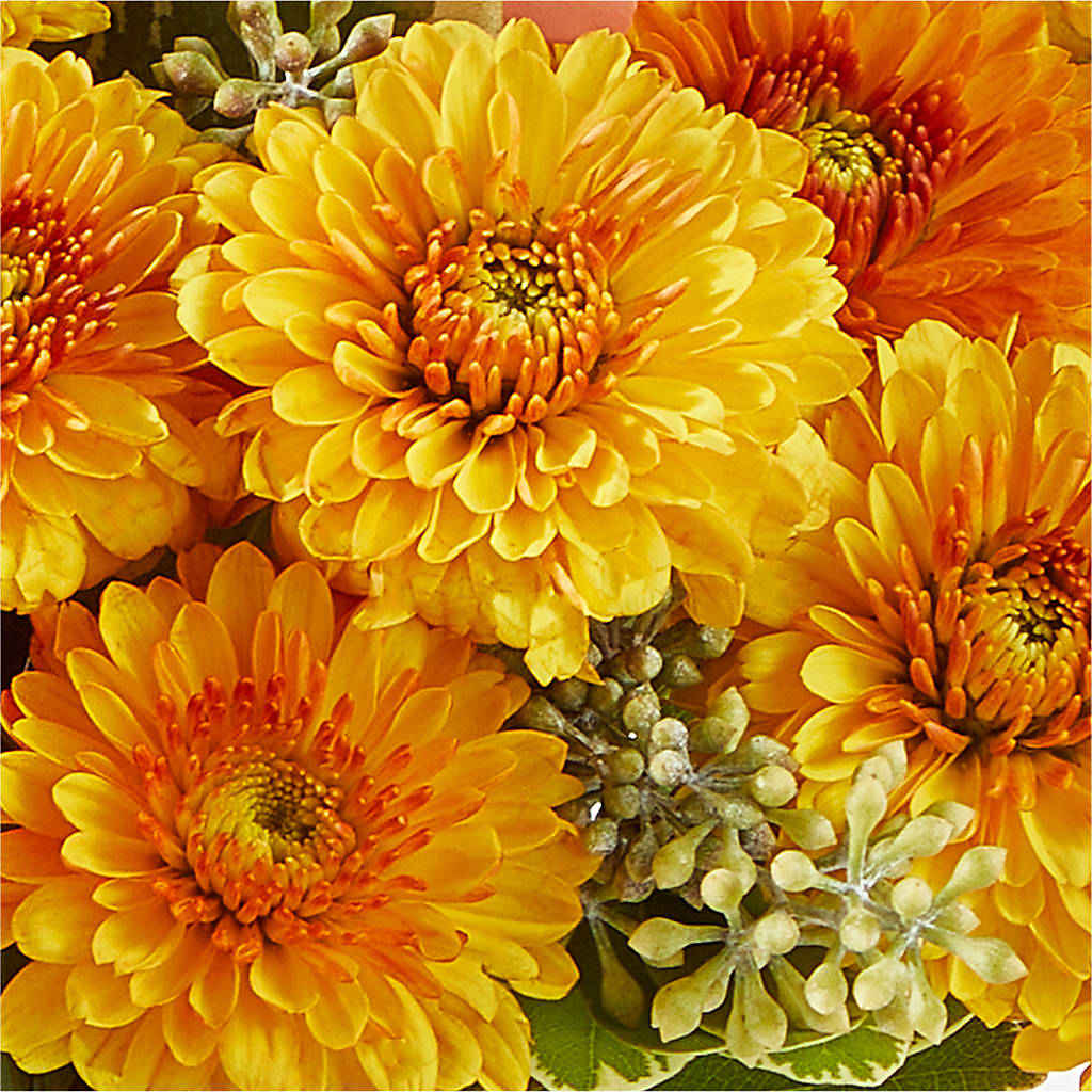 Peachy Pumpkin –  Oaxaca Florist, Gaithersburg MD