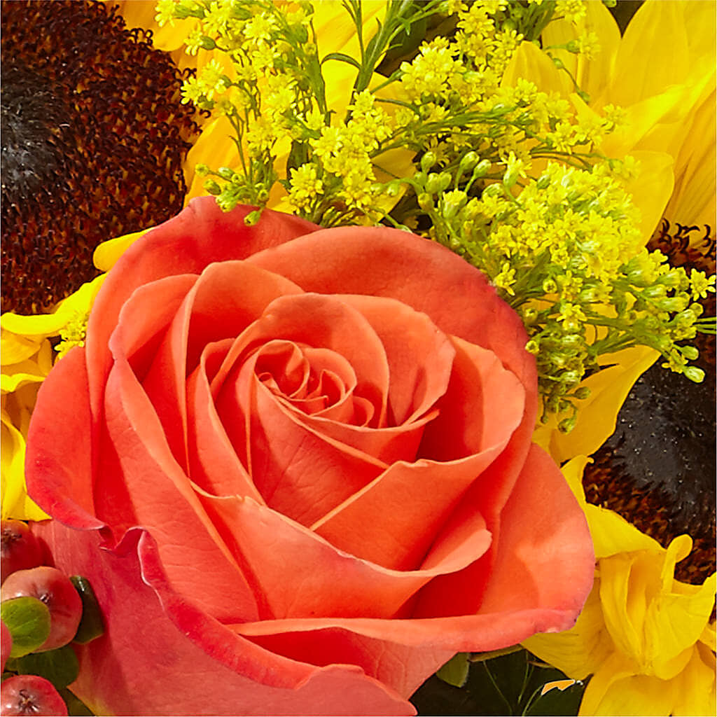 Pick of the Patch Pumpkin Bouquet –  Oaxaca Florist, Gaithersburg MD