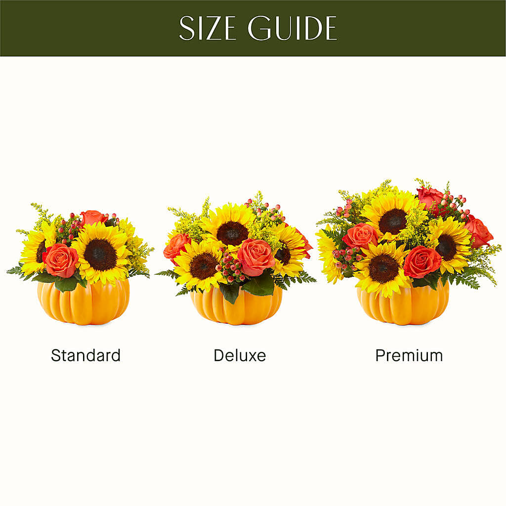 Pick of the Patch Pumpkin Bouquet –  Oaxaca Florist, Gaithersburg MD