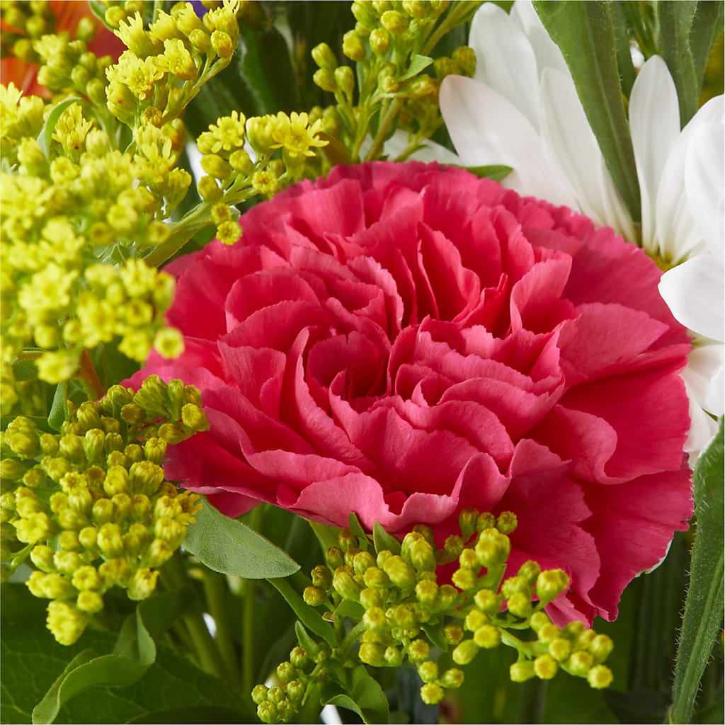 Oopsie Daisy Bouquet –  Oaxaca Florist, Gaithersburg MD