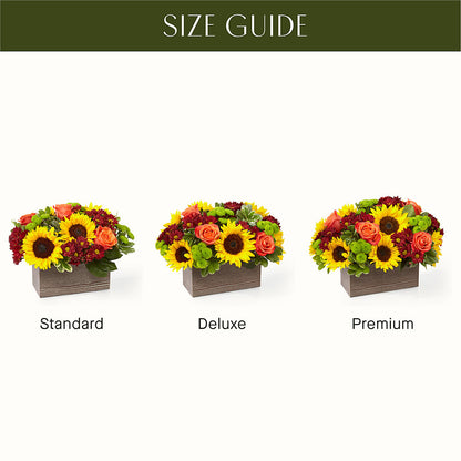 Happy Harvest Garden –  Oaxaca Florist, Gaithersburg MD