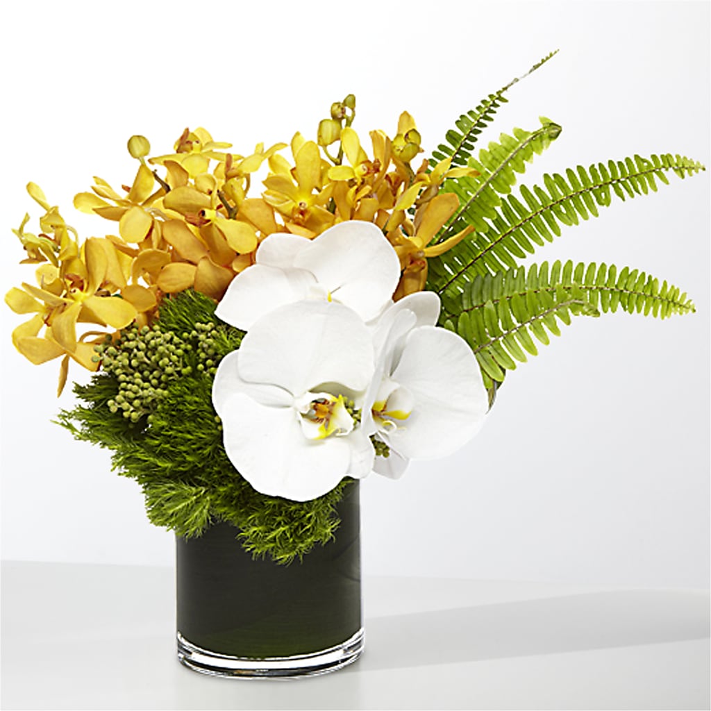 The Tropics –  Oaxaca Florist, Gaithersburg MD