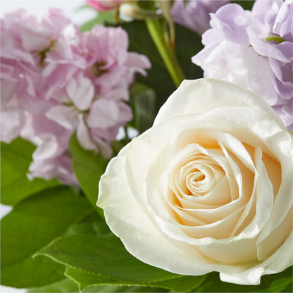 Springtime Spritz Bouquet –  Oaxaca Florist, Gaithersburg MD