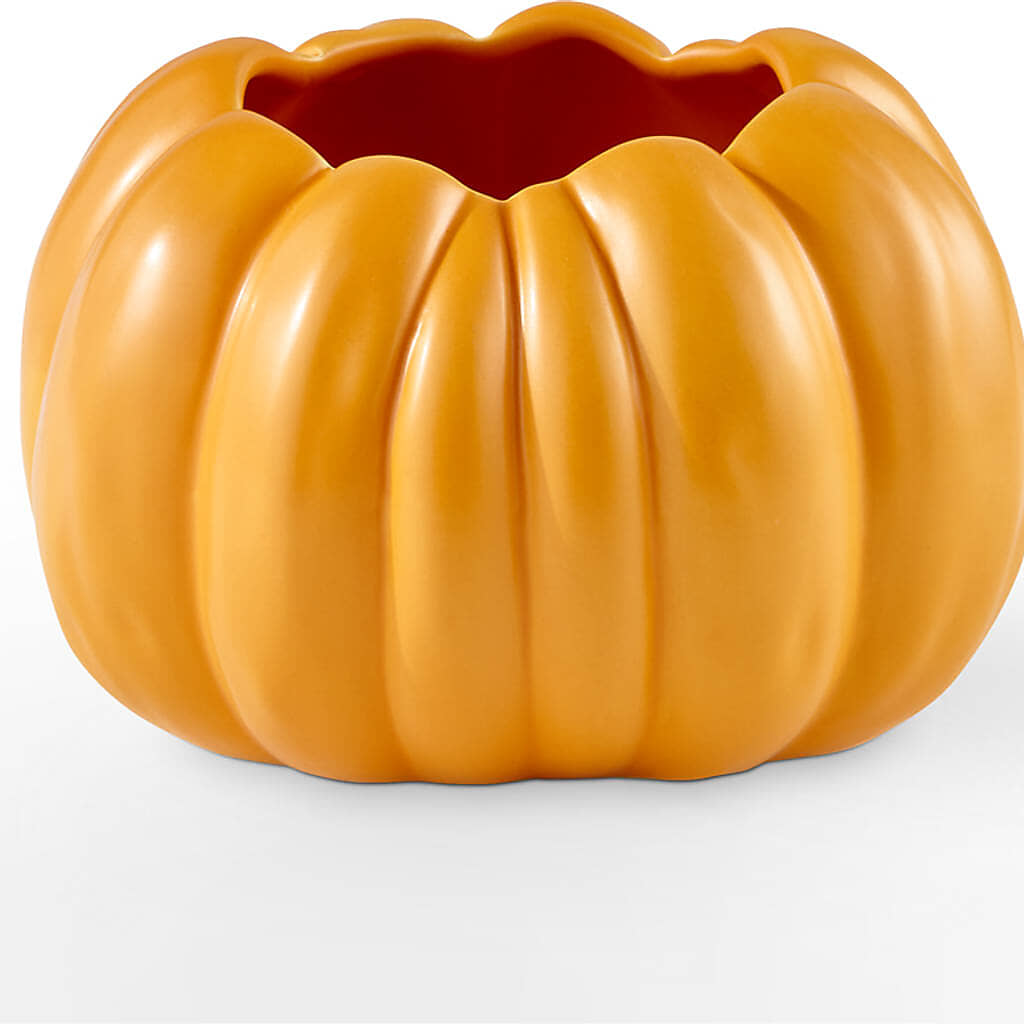 Pick of the Patch Pumpkin Bouquet –  Oaxaca Florist, Gaithersburg MD