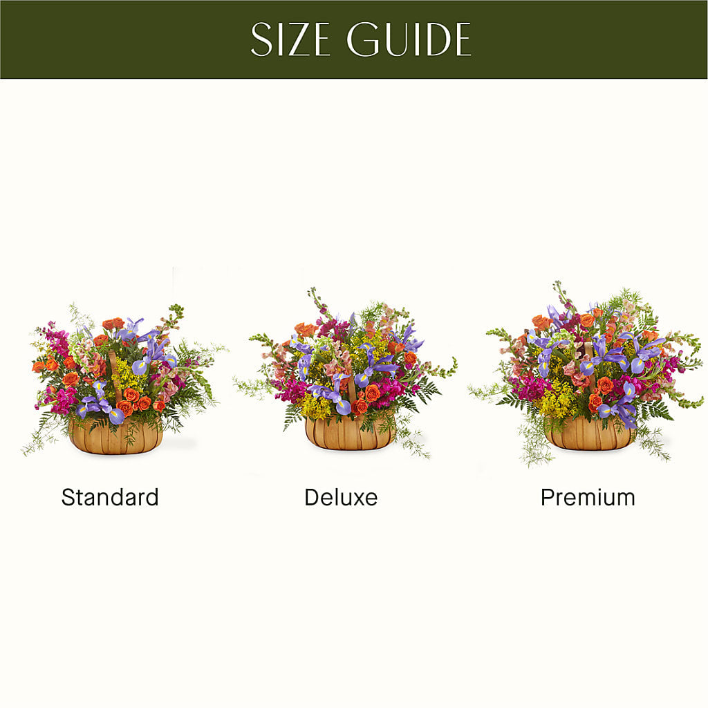 Garden of Life Basket –  Oaxaca Florist, Gaithersburg MD