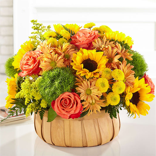 Harvest Sunflower Basket –  Oaxaca Florist, Gaithersburg MD
