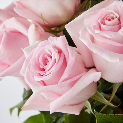 Picture Perfect Pink Rose Bouquet –  Oaxaca Florist, Gaithersburg MD