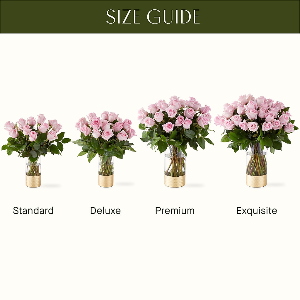 Picture Perfect Pink Rose Bouquet –  Oaxaca Florist, Gaithersburg MD