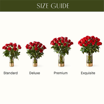 Classic Love Red Rose Bouquet –  Oaxaca Florist, Gaithersburg MD