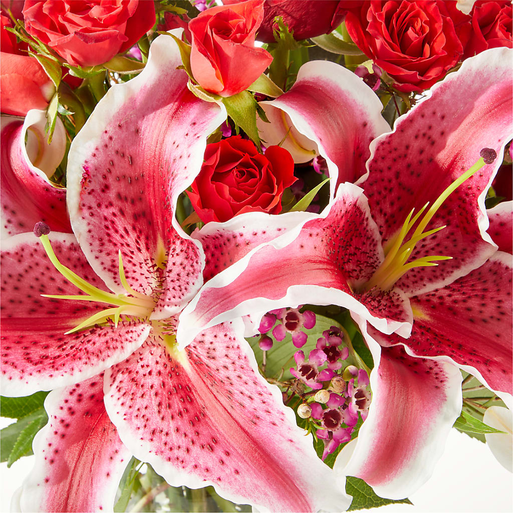 Match Made in Heaven Bouquet –  Oaxaca Florist, Gaithersburg MD