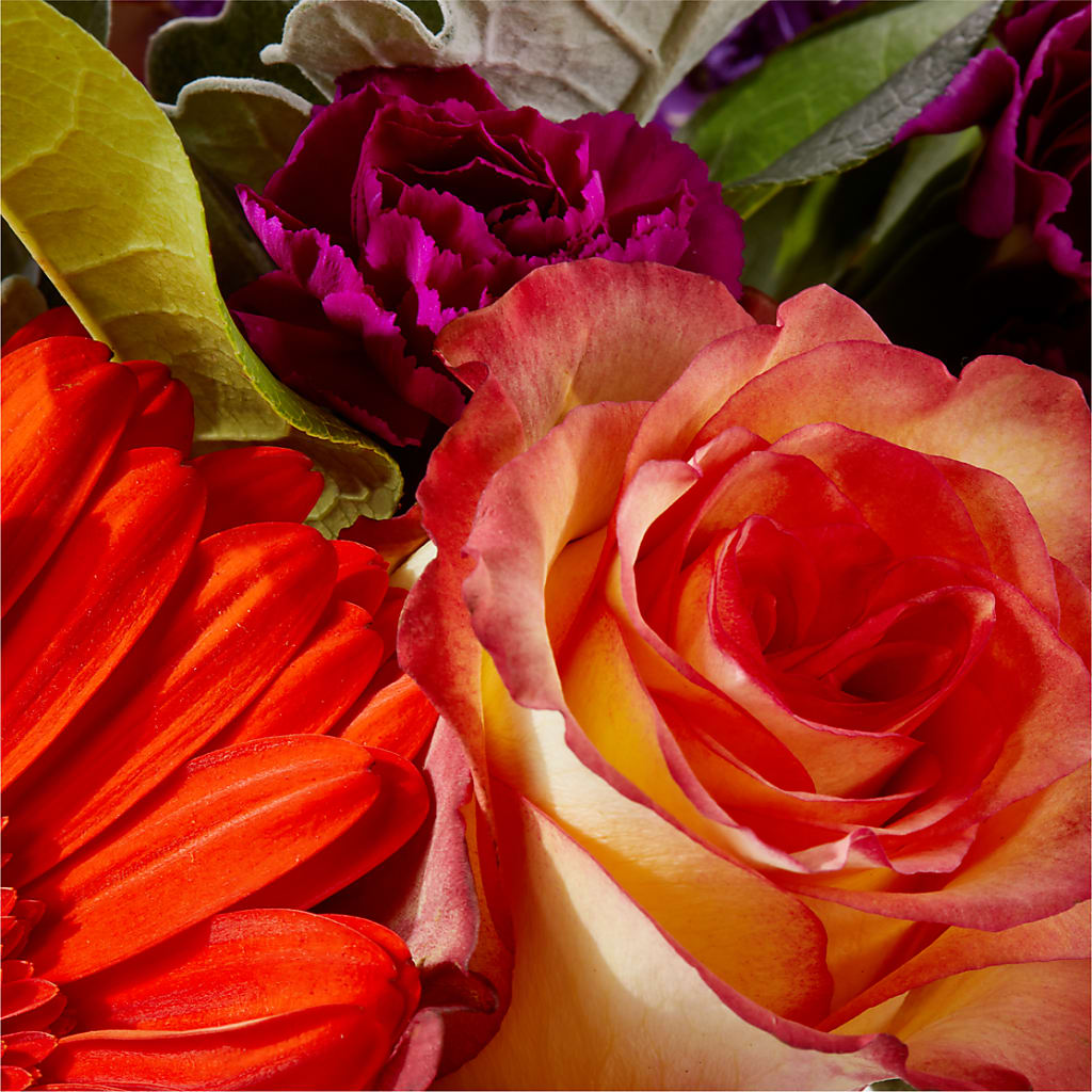 Sangria Bouquet –  Oaxaca Florist, Gaithersburg MD