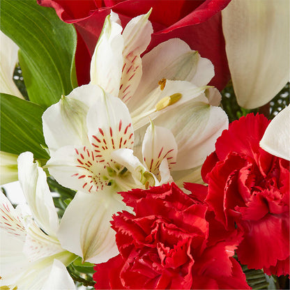 Holiday Season Bouquet –  Oaxaca Florist, Gaithersburg MD