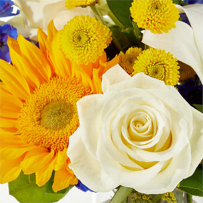 Stargazing Bouquet –  Oaxaca Florist, Gaithersburg MD