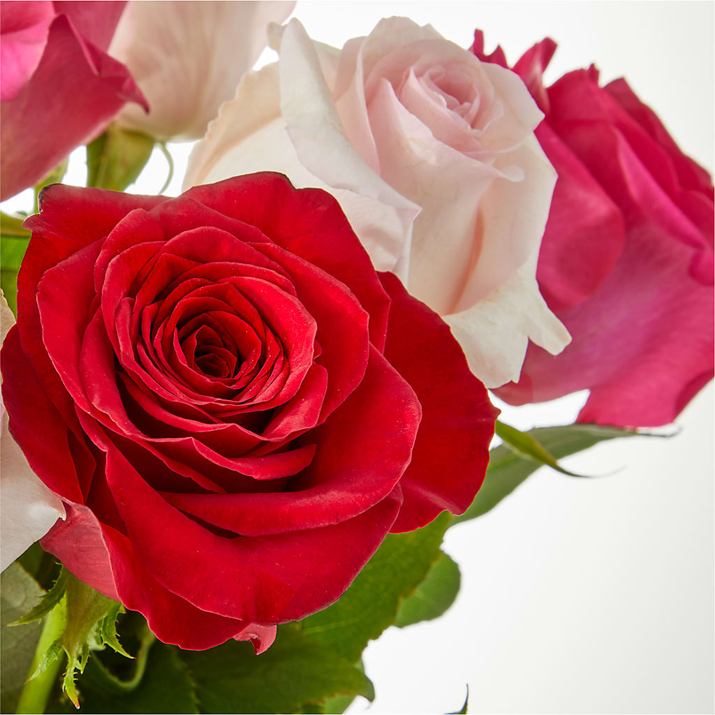 Charming Rose Bouquet –  Oaxaca Florist, Gaithersburg MD