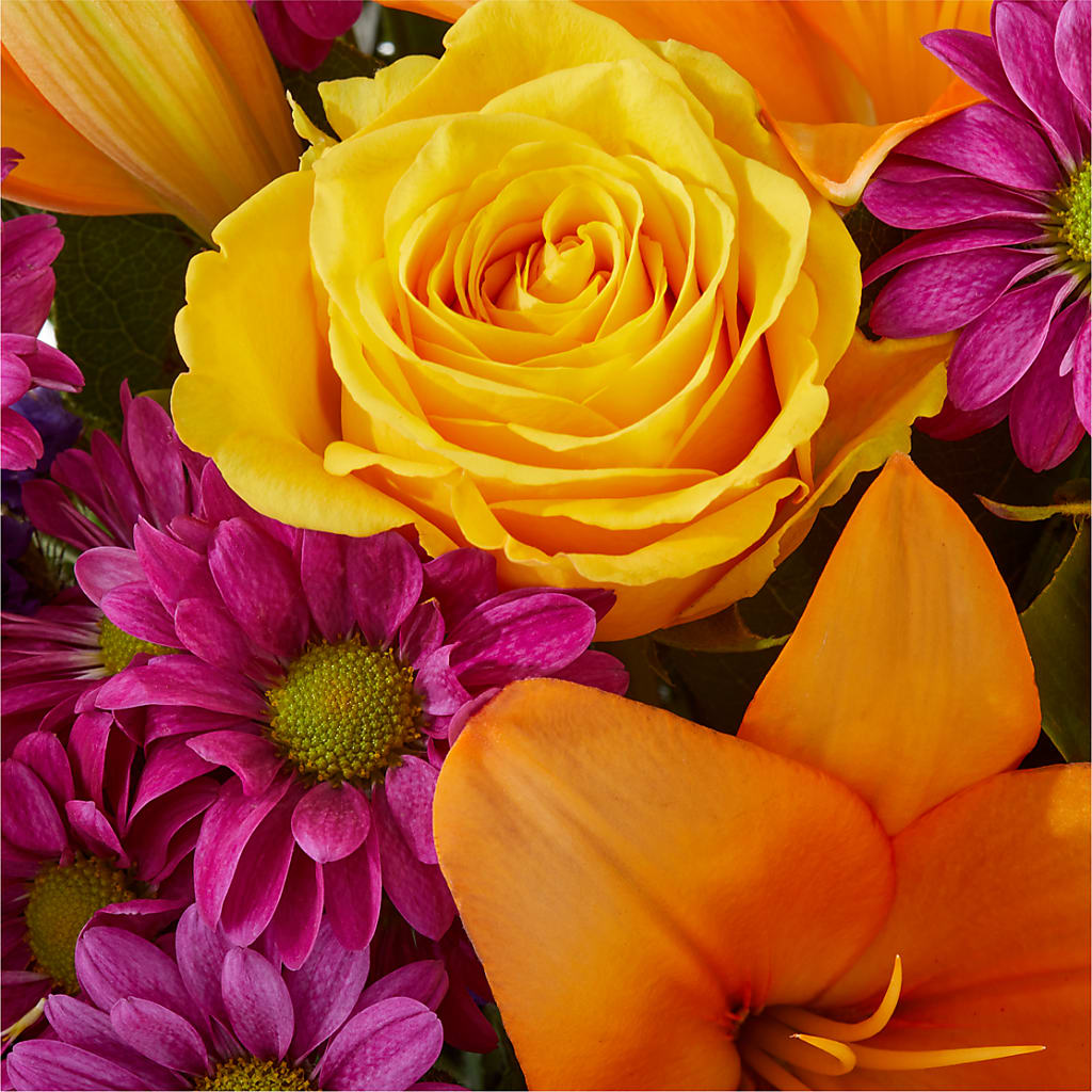 Colorful Visions Bouquet –  Oaxaca Florist, Gaithersburg MD