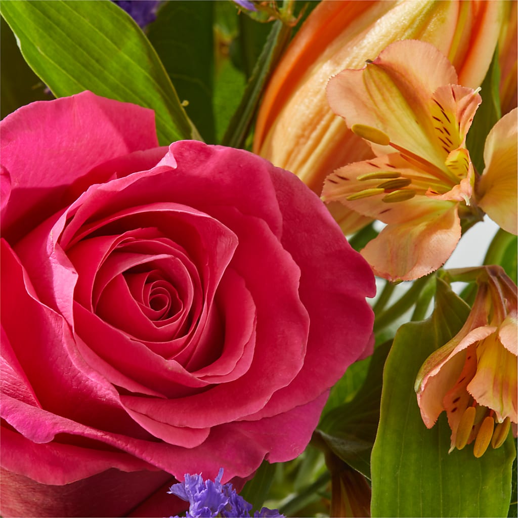 Joyful Bouquet –  Oaxaca Florist, Gaithersburg MD
