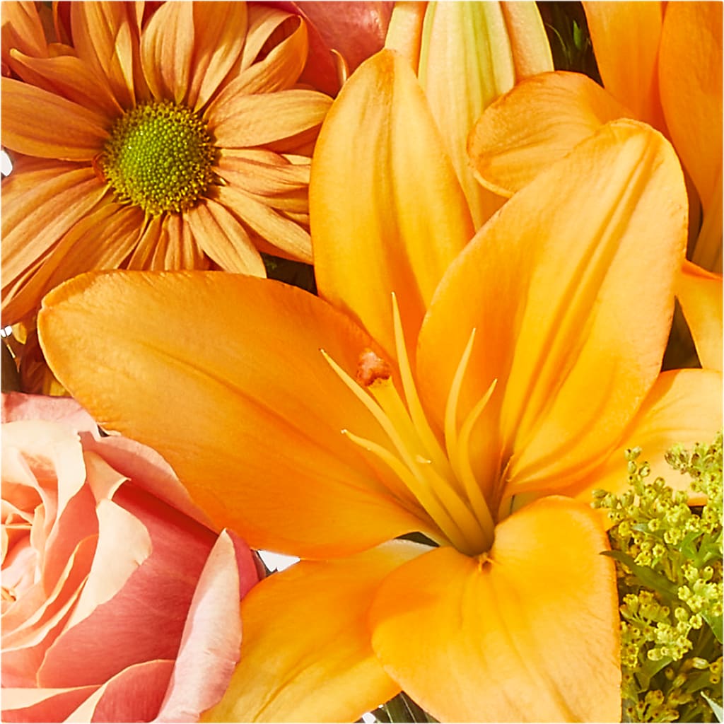 Harvest Hayride Bouquet –  Oaxaca Florist, Gaithersburg MD