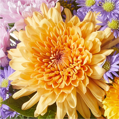 Countryside Bouquet –  Oaxaca Florist, Gaithersburg MD
