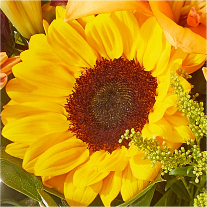 Seasons Change Bouquet –  Oaxaca Florist, Gaithersburg MD